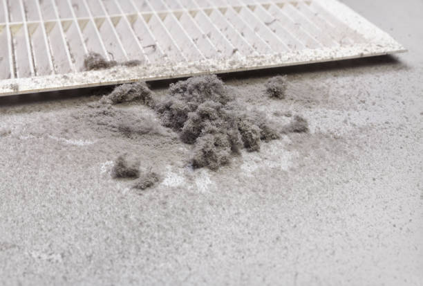 Best Ductwork Cleaning Services  in Kenai, AK