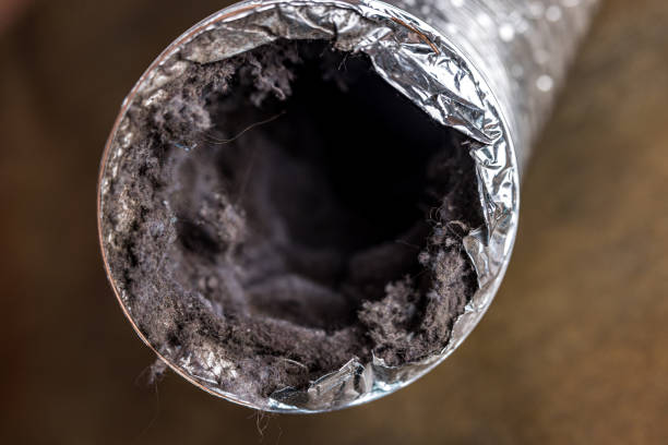 Best HVAC Air Duct Cleaning  in Kenai, AK